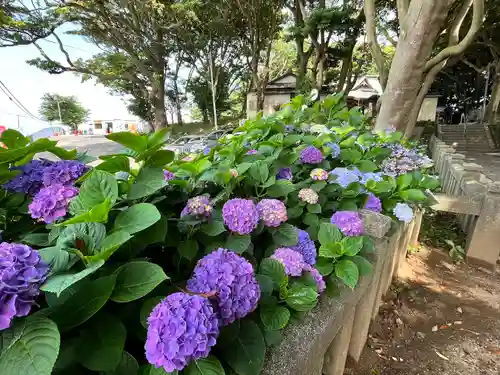 堀出神社(茨城県)