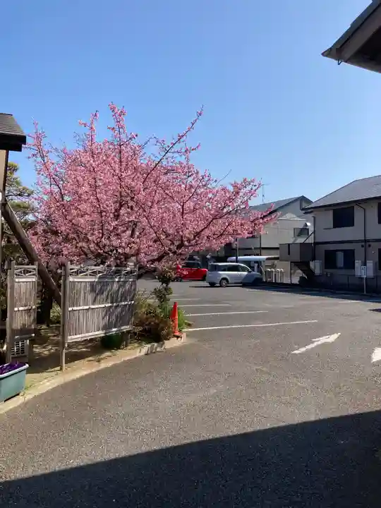 善福寺(神奈川県)