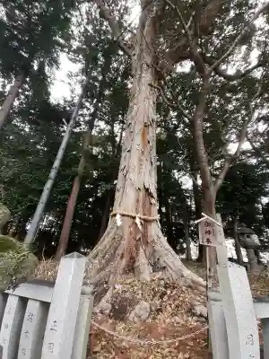 鴨都波神社の{uncategorized: "未分類", other: "その他", undefined: "問題あり", building: "その他建物", grave: "お墓", sacred_gate: "鳥居", guardian: "狛犬", statue: "像", buddha: "仏像", history: "歴史", nature: "自然", garden: "庭園", animal: "動物", pagoda: "塔", temizu: "手水舎", mountain_gate: "山門・神門", sanctuary: "本殿・本堂", subordinate: "末社・摂社", art: "芸術", scenery: "景色", jizo: "地蔵", ema: "絵馬", goshuin: "御朱印", omikuji: "おみくじ", items: "授与品その他", amulet: "お守り", goshuincho: "御朱印帳", eats: "食事", festival: "お祭り", votive_dance: "神楽", shichigosan: "七五三参", wedding: "結婚式", experience: "体験その他", initially: "初詣", around: "周辺", anti_infection: "感染症対策"}