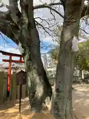 岩屋神社の自然