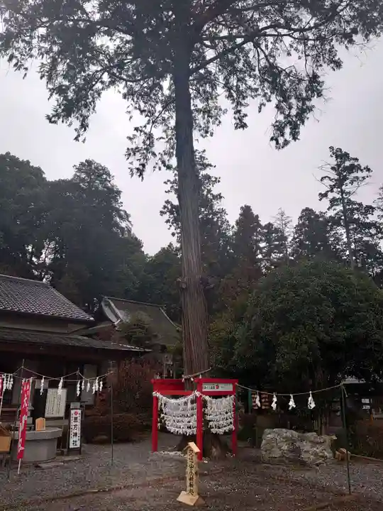 磐裂根裂神社のその他建物