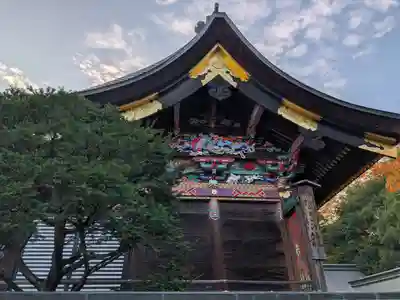 秩父神社の本殿・本堂
