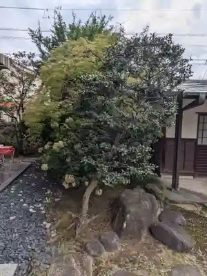 妙雲寺(東京都)