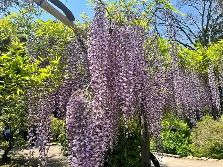歌泉堂(春日大社神苑萬葉植物園内鎮座)(奈良県)