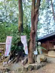 開運招福 飯玉神社(群馬県)