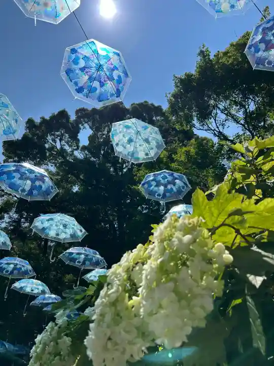 柳谷観音 楊谷寺(京都府)
