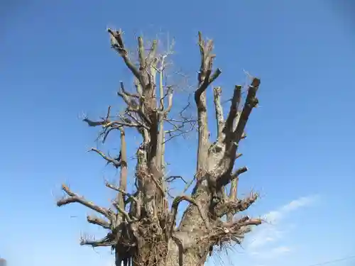 長照寺(埼玉県)