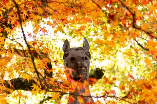 離宮八幡宮(京都府)