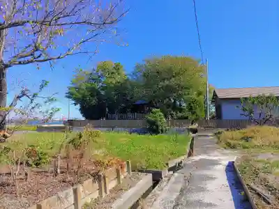 八幡社（石橋）の自然