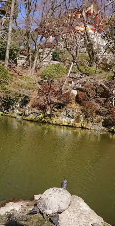 清水寺奥之院の動物
