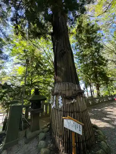 手長神社(長野県)