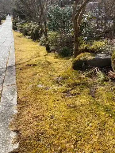 徳善院明王密寺の庭園