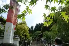 岡寺（龍蓋寺）の建物その他