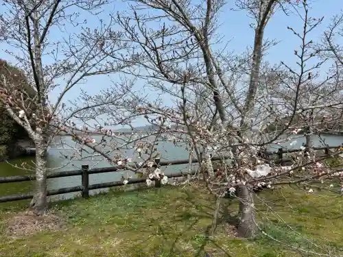 宇佐神社の{uncategorized: "未分類", other: "その他", undefined: "問題あり", building: "その他建物", grave: "お墓", sacred_gate: "鳥居", guardian: "狛犬", statue: "像", buddha: "仏像", history: "歴史", nature: "自然", garden: "庭園", animal: "動物", pagoda: "塔", temizu: "手水舎", mountain_gate: "山門・神門", sanctuary: "本殿・本堂", subordinate: "末社・摂社", art: "芸術", scenery: "景色", jizo: "地蔵", ema: "絵馬", goshuin: "御朱印", omikuji: "おみくじ", items: "授与品その他", amulet: "お守り", goshuincho: "御朱印帳", eats: "食事", festival: "お祭り", votive_dance: "神楽", shichigosan: "七五三参", wedding: "結婚式", experience: "体験その他", initially: "初詣", around: "周辺", anti_infection: "感染症対策"}
