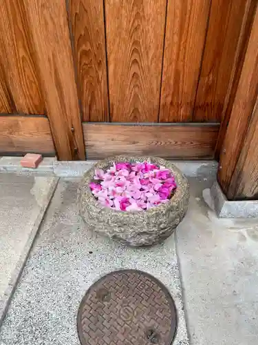 新道寺(京都府)