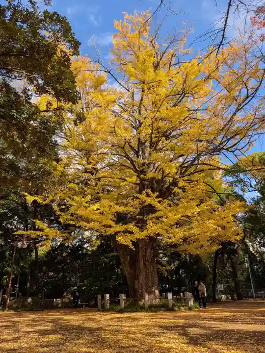 赤坂氷川神社(東京都)