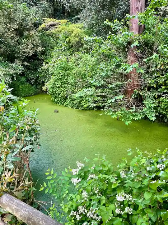 蛇苦止明神(蛇苦止堂)(神奈川県)
