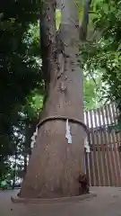 鎮守氷川神社(埼玉県)