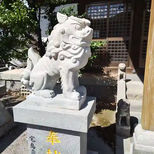 小浜神社の狛犬