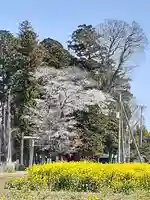 酒門神社の自然