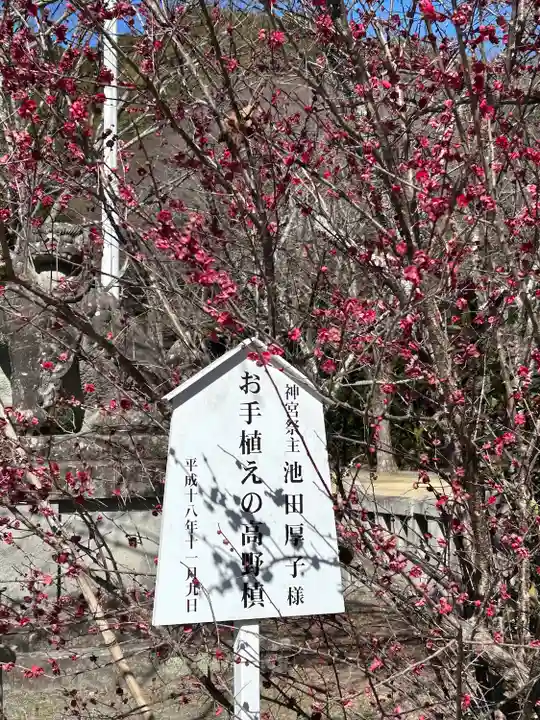 靜岡縣護國神社(静岡県)