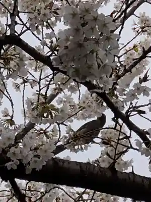 金王八幡宮(東京都)