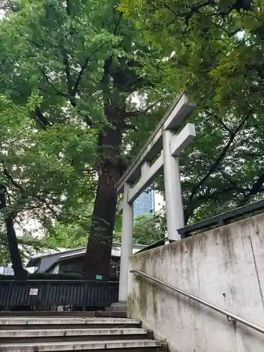 熊野神社の鳥居