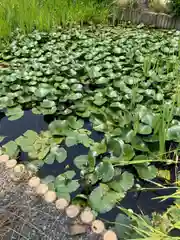 播磨国分寺の庭園