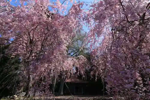 来福寺の庭園