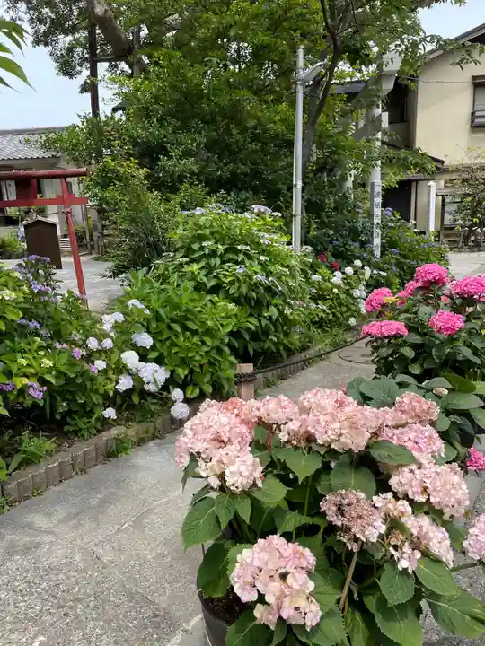 御霊神社の自然