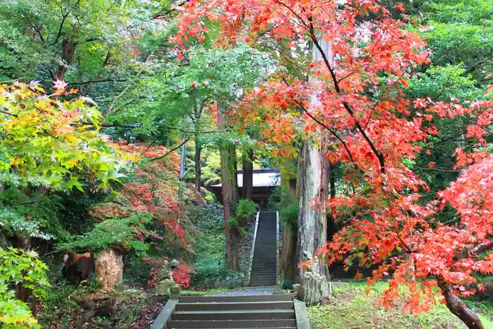 春日神社のその他建物
