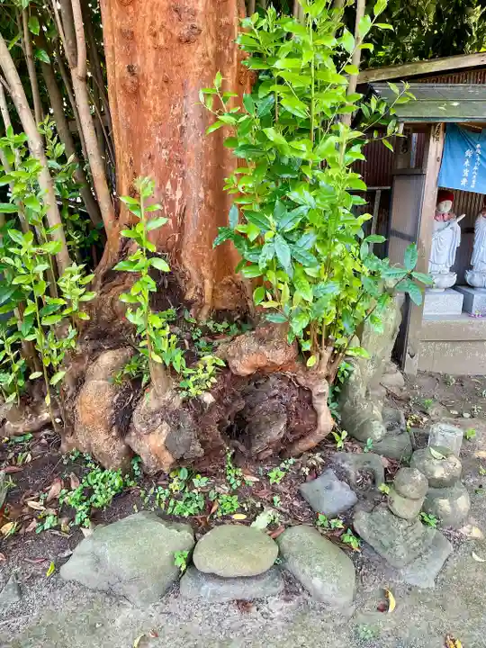 海蔵寺(神奈川県)