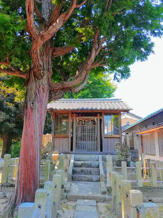 八幡社(須ヶ谷)の本殿・本堂