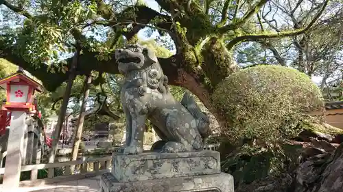 太宰府天満宮の狛犬