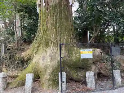 高尾山薬王院(東京都)