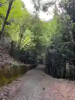 母の白滝神社(山梨県)