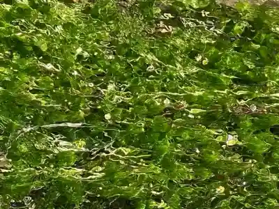 穂高神社本宮(長野県)