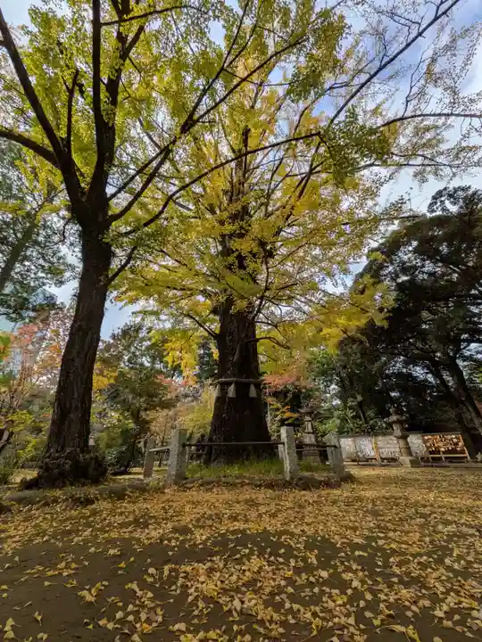 赤坂氷川神社(東京都)