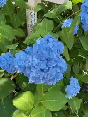 若宮八幡社(愛知県)
