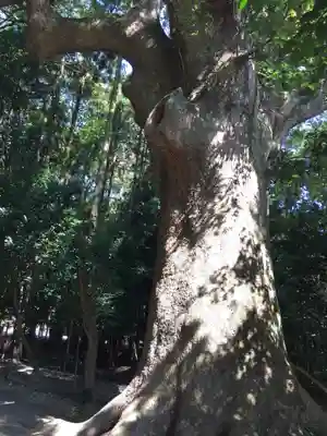 神服織機殿神社(皇大神宮所管社)の自然