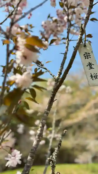 素戔嗚神社(岡山県)