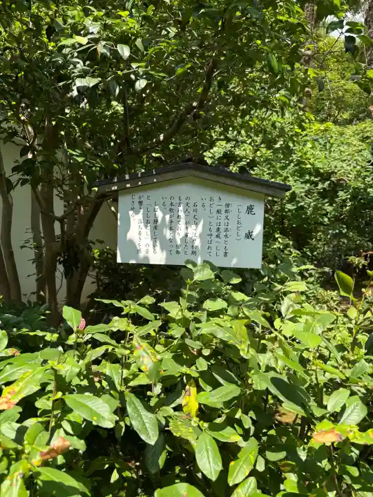 退蔵院(京都府)