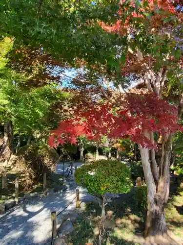 宝徳寺(群馬県)