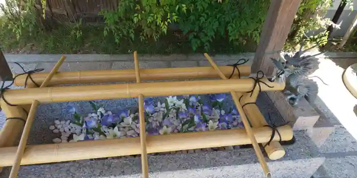 晴明神社の手水舎