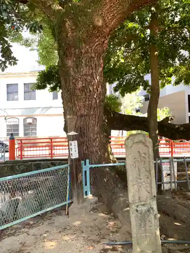 住吉神社の自然