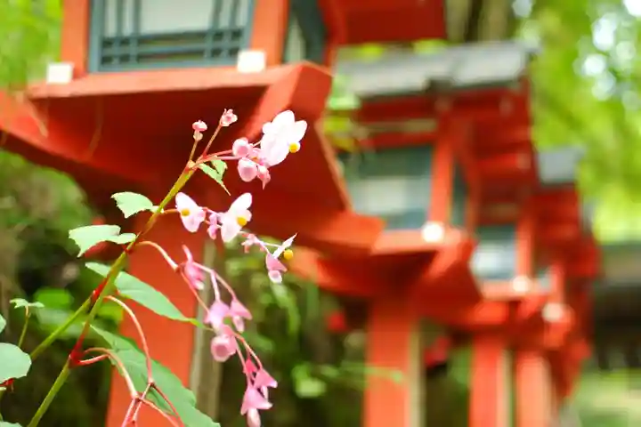 貴船神社(京都府)