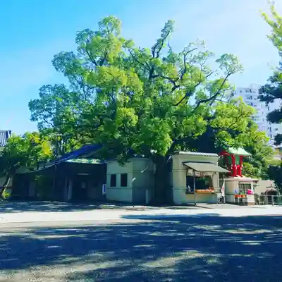 富岡八幡宮のその他建物
