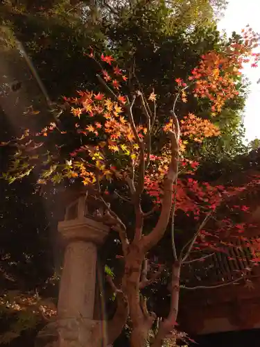 宝厳寺(滋賀県)