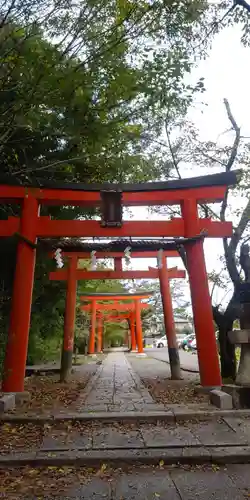 竹中稲荷神社（吉田神社末社）の鳥居