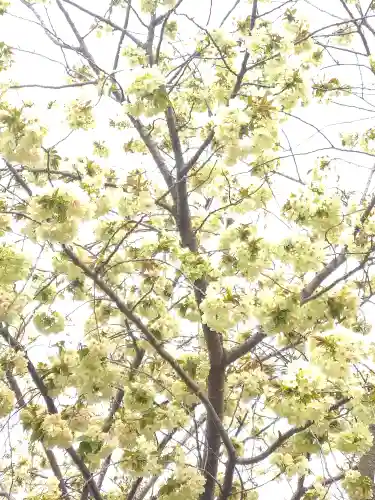 和霊神社の自然